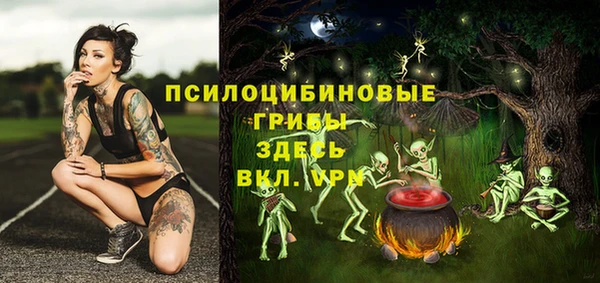 гашиш Лабытнанги