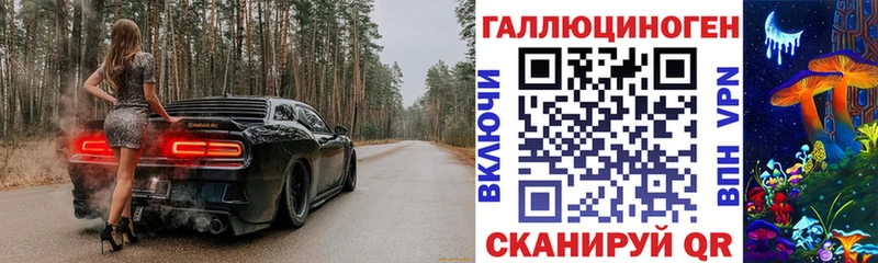 мориарти телеграм  Дорогобуж  Галлюциногенные грибы GOLDEN TEACHER 